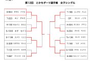 第12回とかちダーツ選手権